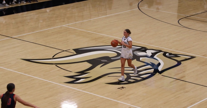 Viking Girls Hang On For Win Over Adams Central, 53-47 